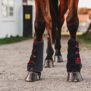 55W конска светлинна терапия ветеринарно устройство доведе червена светлина терапия коне крак