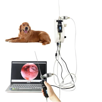 Animal Dog Медицинска ветеринарна операция УНГ отоскоп ухо ендоскоп камера система видео ларингоскоп за домашни любимци болница