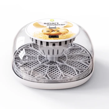 Нов дизайн Външно добавяне на вода Пиле Автоматични инкубатори Автоматичен инкубатор за мини пилешки яйца