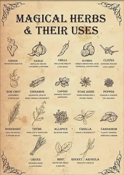 Магически билки и тяхната употреба Вещица плакат кухня вещица стена изкуство реколта вещици вещици магия знания калай знаци