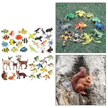 Животински модели Биология Наука Образователна за малки деца